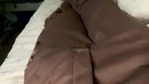 Snapshot of jaaltar chatting on 02/02/26, 02:27 Jaaltar online show from 02/02/26, 02:27