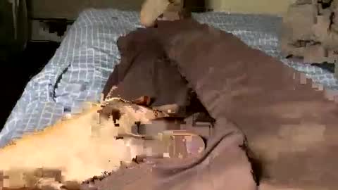 Jaaltar online show from 05/07/26, 05:51