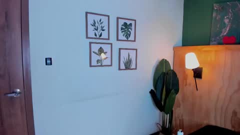 David online show from 11/25/25, 03:17