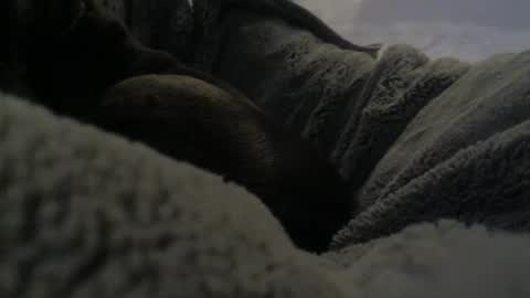 jackad44 online show from 10/17/25, 06:32