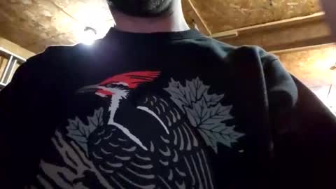 Snapshot of jackboys16 chatting on 01/05/25, 02:49 Dess online show from 01/05/25, 02:49