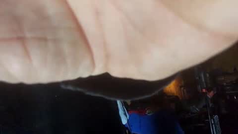 Snapshot of jackboys16 chatting on 01/24/25, 11:04 Dess online show from 01/24/25, 11:04