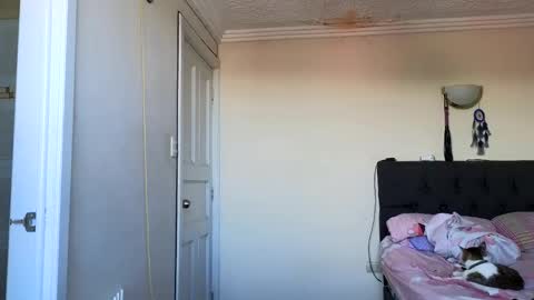 Jack online show from 04/01/26, 04:59