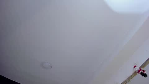 Jack  online show from 12/20/24, 08:28