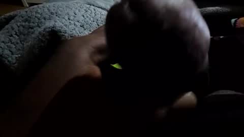 jackwiskyhoney online show from 01/19/26, 03:21