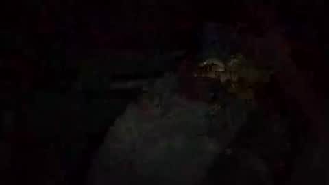 Snapshot of jacobledyit21 chatting on 10/20/25, 02:56 Shakey j online show from 10/20/25, 02:56