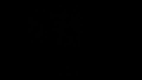 Lovi online show from 01/08/26, 07:21