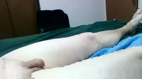 Jaks online show from 01/26/25, 09:29