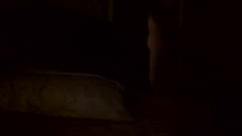 Jamacian online show from 02/02/25, 05:59