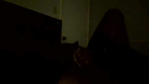 Jamacian online show from 02/25/25, 11:11