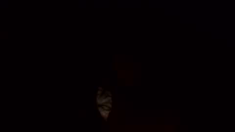 Jamacian online show from 03/03/25, 10:17