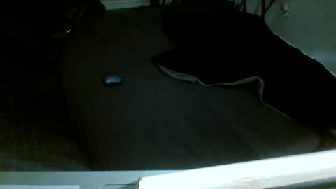 Snapshot of jamacianmehorny chatting on 12/14/25, 08:13 Jamacian online show from 12/14/25, 08:13