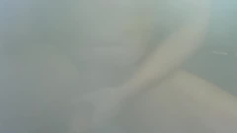 James2377  online show from 12/22/25, 02:25