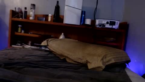 Snapshot of james30cup chatting on 09/14/25, 09:19 what you in too online show from 09/14/25, 09:19