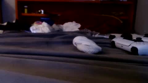 Snapshot of james30cup chatting on 09/20/25, 02:23 what you in too online show from 09/20/25, 02:23