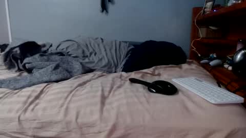 what you in too online show from 02/16/26, 01:29