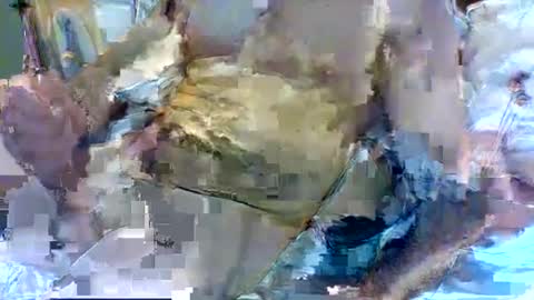 Snapshot of jameswhite5001 chatting on 02/08/25, 03:21 jameswhite5001 online show from 02/08/25, 03:21