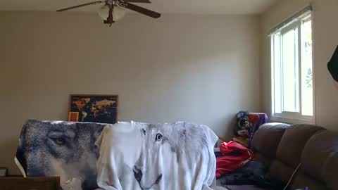 jameswolf777 online show from 09/13/25, 11:48