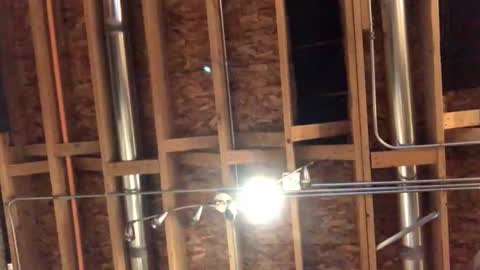 Snapshot of jamie19905 chatting on 10/29/25, 02:25 jamie19905 online show from 10/29/25, 02:25