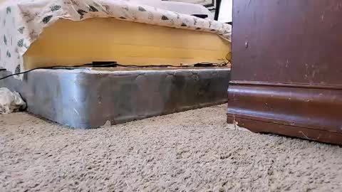 Snapshot of jamwarnerone chatting on 09/09/25, 12:26 Bootyshows online show from 09/09/25, 12:26