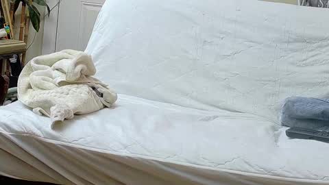 Snapshot of jamwarnerone chatting on 09/17/25, 12:29 Bootyshows online show from 09/17/25, 12:29