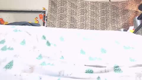 Snapshot of jamwarnerone chatting on 10/23/25, 04:17 Bootyshows online show from 10/23/25, 04:17