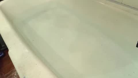 Snapshot of jamwarnerone chatting on 10/29/25, 07:59 Bootyshows online show from 10/29/25, 07:59