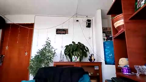 Snapshot of janariivera1 chatting on 01/17/26, 07:28 janariivera1 online show from 01/17/26, 07:28