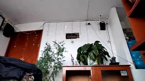 Snapshot of janariivera1 chatting on 02/11/26, 02:44 janariivera1 online show from 02/11/26, 02:44