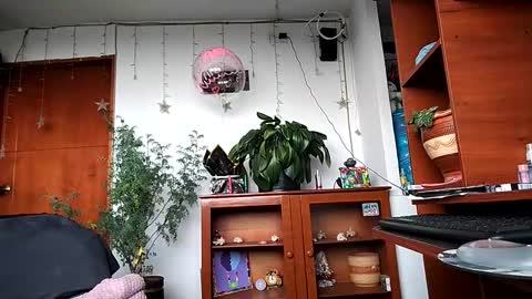 Snapshot of janariivera1 chatting on 03/24/26, 04:56 janariivera1 online show from 03/24/26, 04:56