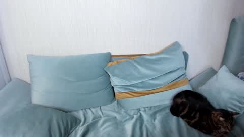 Jane online show from 01/25/25, 09:04