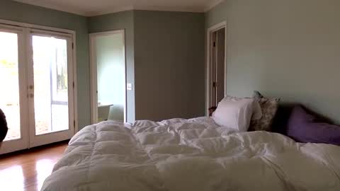 janicepepper online show from 01/04/25, 09:52