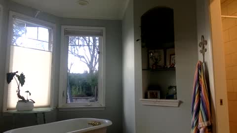 janicepepper online show from 03/02/25, 12:53