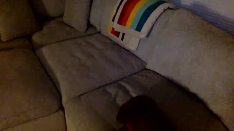 janicepepper online show from 05/21/26, 08:54