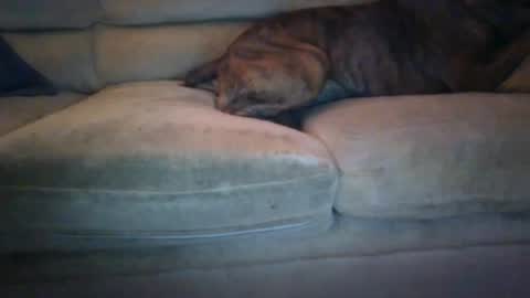 janks1963 online show from 09/21/25, 04:47