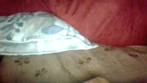 Janne online show from 11/25/25, 02:39