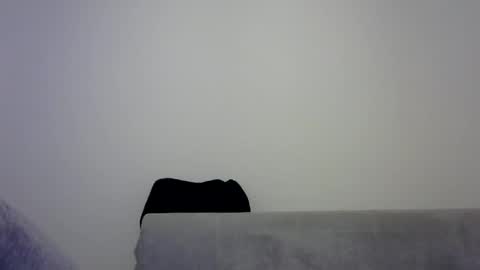 Snapshot of jaspal55 chatting on 11/09/25, 02:04 jaspal55 online show from 11/09/25, 02:04