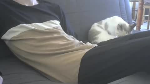 Snapshot of jasper_0_e23cm chatting on 09/21/25, 07:43 jasper 0 e23cm online show from 09/21/25, 07:43