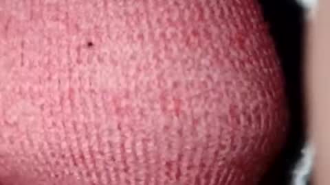 Snapshot of jasspreettt chatting on 12/28/24, 07:11 jasspreettt online show from 12/28/24, 07:11