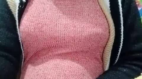 Snapshot of jasspreettt chatting on 01/04/25, 05:48 jasspreettt online show from 01/04/25, 05:48