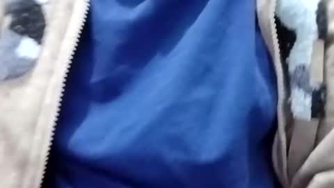 Snapshot of jasspreettt chatting on 01/25/25, 01:54 jasspreettt online show from 01/25/25, 01:54