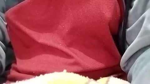 Snapshot of jasspreettt chatting on 01/30/25, 01:55 jasspreettt online show from 01/30/25, 01:55