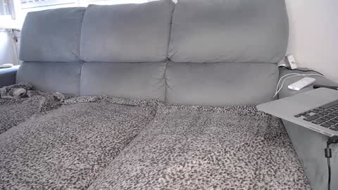 Javier  online show from 12/07/24, 04:47