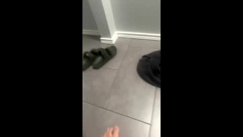 Javi online show from 05/26/26, 03:24