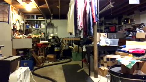 Jaws  online show from 11/03/25, 07:59