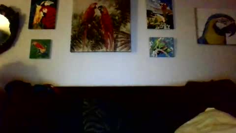 jay-jay1475 online show from 12/17/24, 12:56