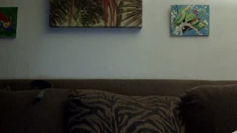 jay-jay1475 online show from 01/01/25, 02:19