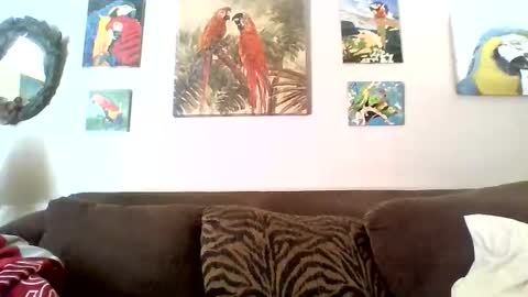 jay-jay1475 online show from 01/01/25, 05:22