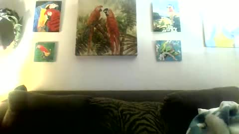 jay-jay1475 online show from 01/20/25, 10:48