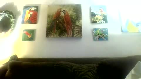 jay-jay1475 online show from 01/21/25, 03:48